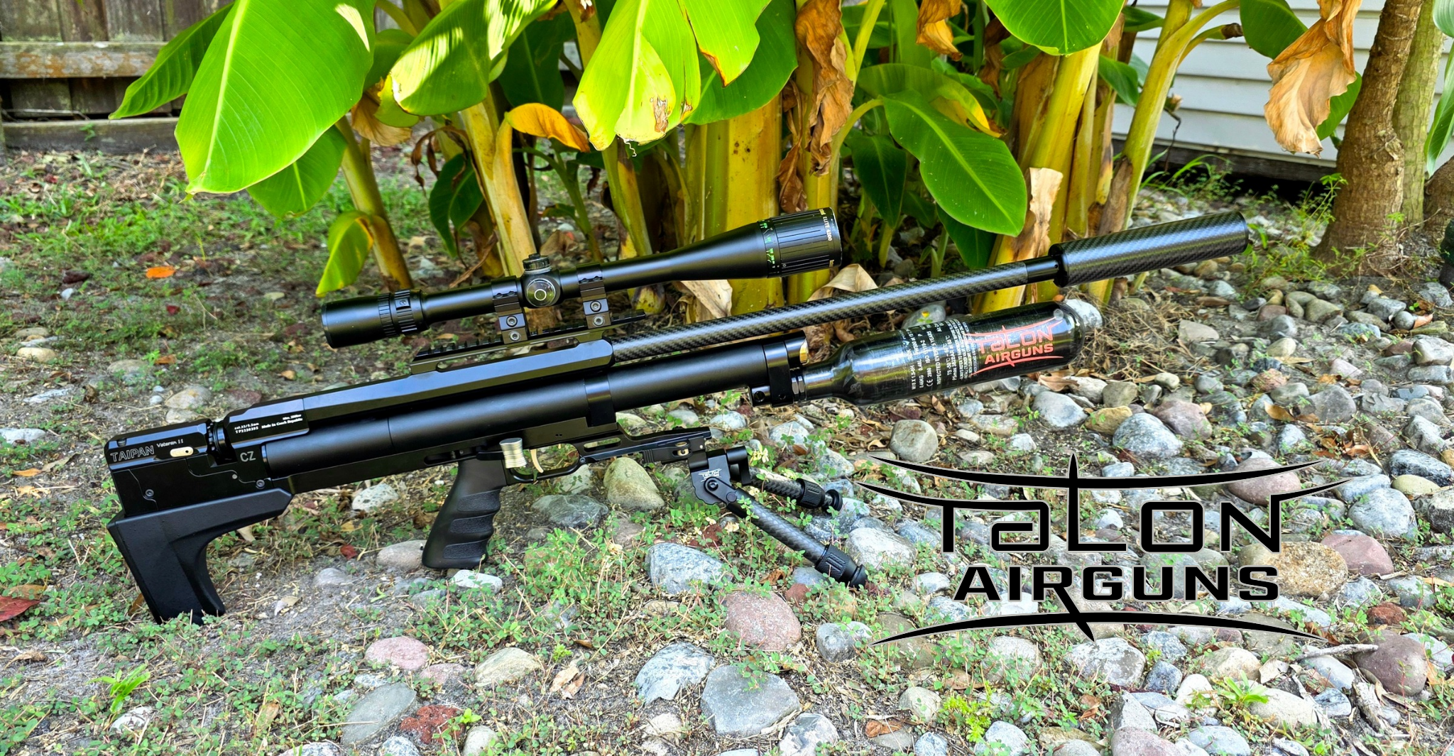 AAA Talon Airguns Taipan Veteran II .22/700mm