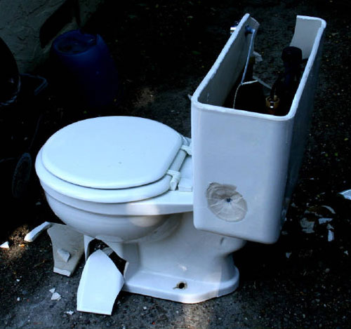Toiletbashing004
