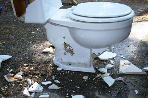 Toiletbashing007