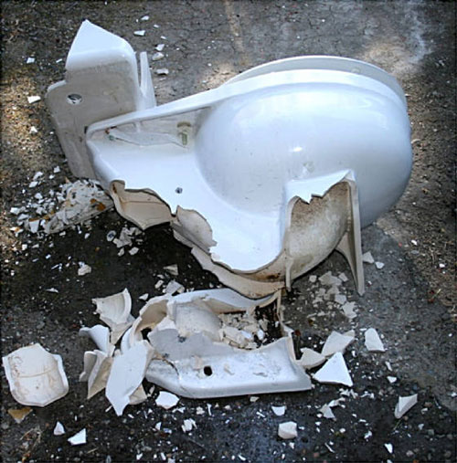 Toiletbashing011